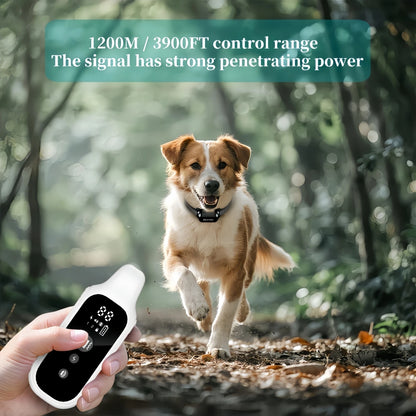 800m Waterproof Digital Dog Training Collar